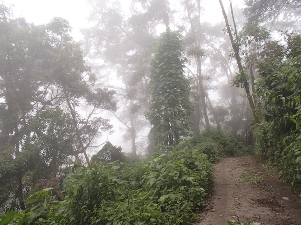 Sentier sur le flanc du volcan Chicabal