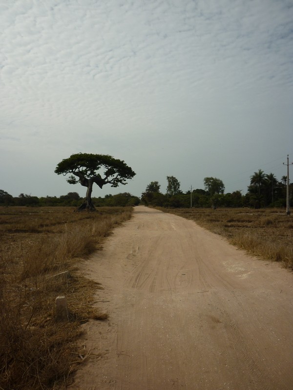 Route de terre au Sénégal