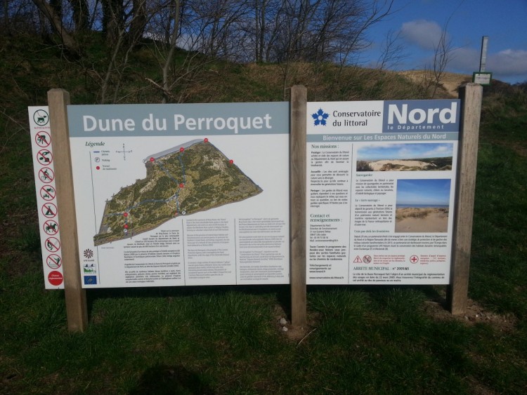 Dunes du Perroquet - 02