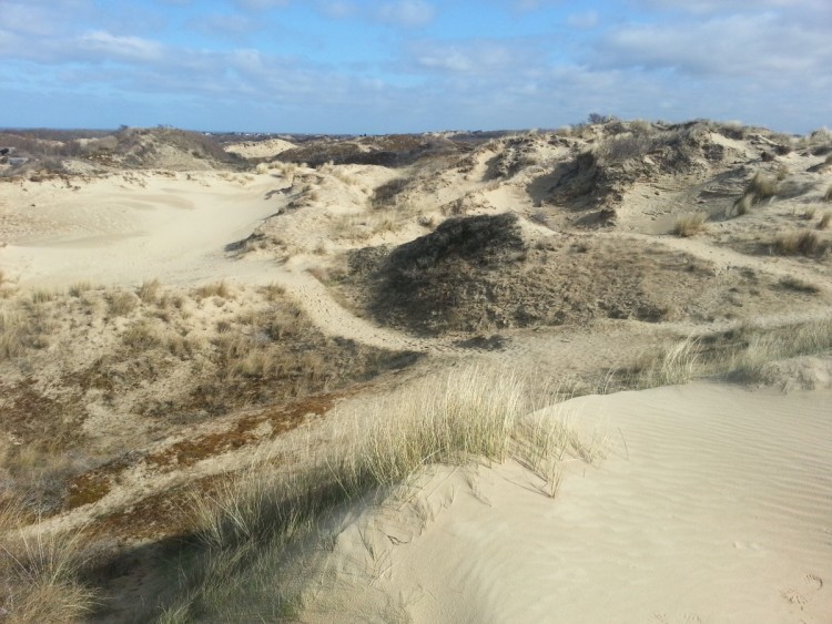 Dunes du Perroquet, Bray-Dunes